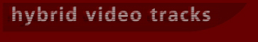 hybrid video tracks