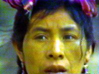 Meta Mayan II